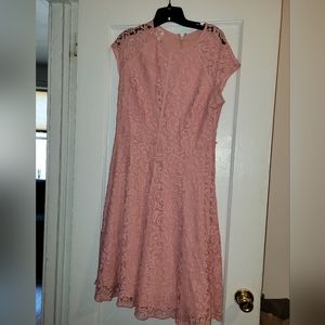 Blush lace dress